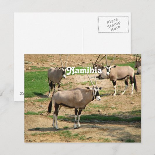 Namibië Briefkaart (Voorkant / Achterkant)