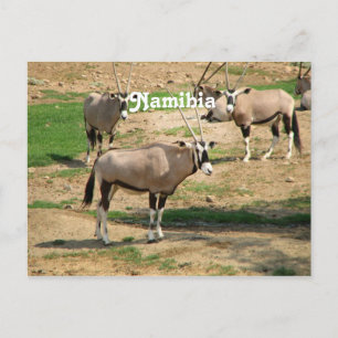 Namibië Briefkaart
