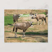 Namibië Briefkaart (Voorkant)