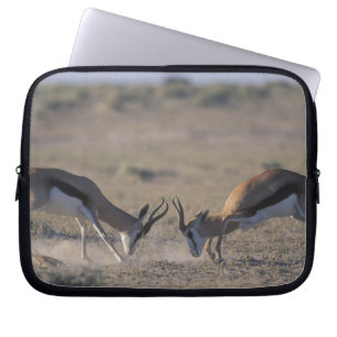 Namibië, Etosha National Park, Twee mannetjes Laptop Sleeve