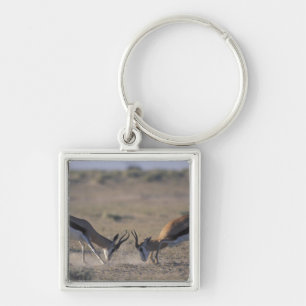 Namibië, Etosha National Park, Twee mannetjes Sleutelhanger