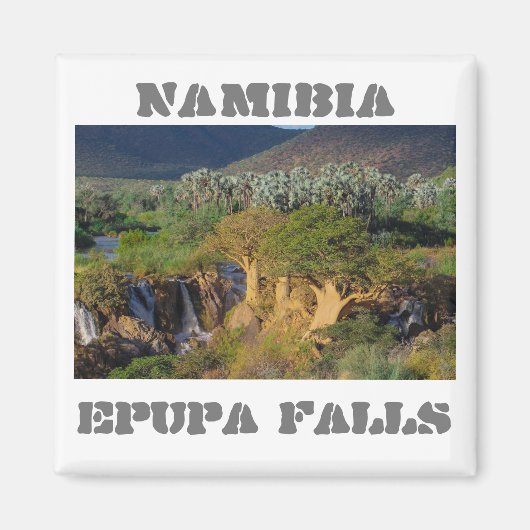 Namibië Kunene Herfsten Landschap Baobabs Magneet (Voorkant)