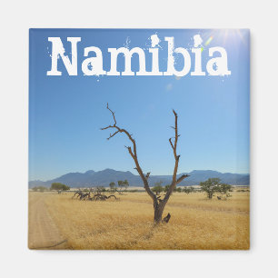 Namibië Marienfluss Savannah Landscape Natuur Magneet