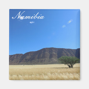 Namibië Marienfluss Savannah Landscape Natuur Magneet