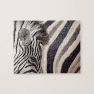 Namibië, Nationaal Park Etosha. Gegevens van twee Legpuzzel