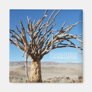Namibië Tirool Namib Woestijnlandschap Kokerboom Magneet