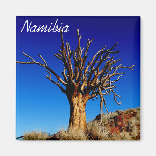 Namibië Tirool Namib Woestijnlandschap Kokerboom Magneet