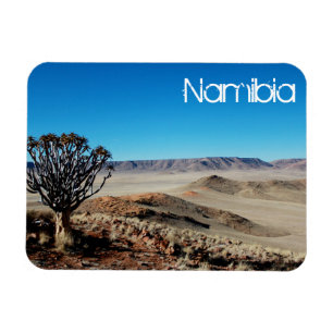 Namibië Tirool Namib Woestijnlandschap Kokerboom Magneet