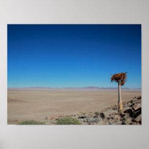 Namibië Tirool Namib Woestijnlandschap Kokerboom Poster