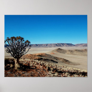 Namibië Tirool Namib Woestijnlandschap Kokerboom Poster