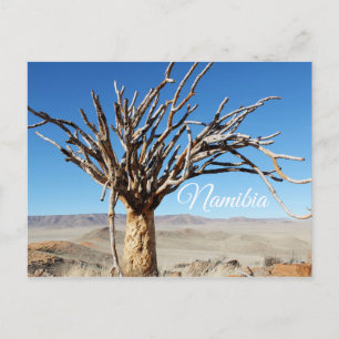 Namibië Tirool Namib Woestijnlandschap Natuur Briefkaart