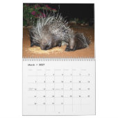 NAMIBIË Wandkalender Kalender (Mar 2027)
