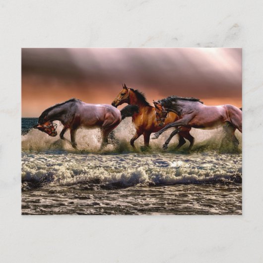 namiddag in het Surf Briefkaart (Voorkant)