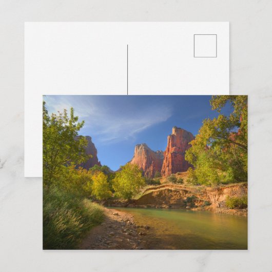 namiddag in Zion National Park Briefkaart (Voorkant / Achterkant)