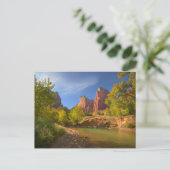 namiddag in Zion National Park Briefkaart (Staand voorkant)