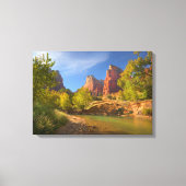 namiddag in Zion National Park Canvas Afdruk (Voorkant)