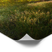 namiddag in Zion National Park Poster (Hoek)