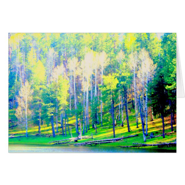 Namiddagzon (Voorkant Horizontaal)