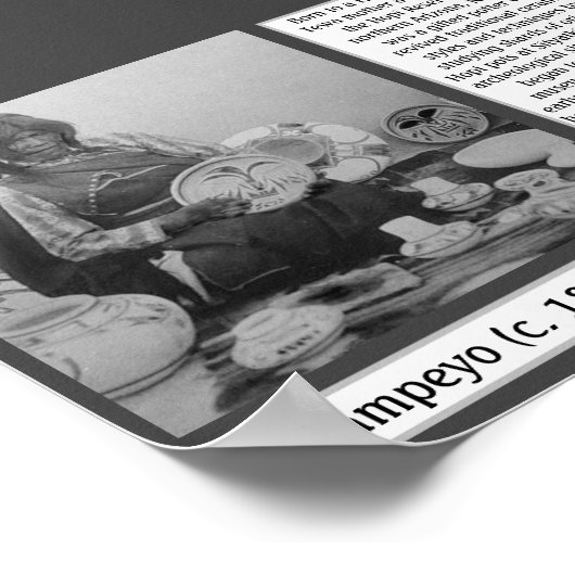 Nampeyo Pottery Native American Hopi Poster (Hoek)