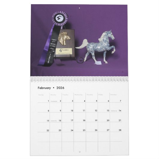 NAN 2018 Breyer Collectability Champions Calendar Kalender (Feb 2026)