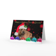 Nana & Grandad Border Terriër in Santa Hat