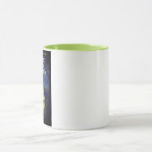 Nancy Drew | Mok (Midden)