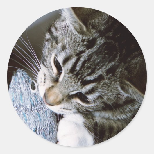 Nancy met muis ronde sticker (Voorkant)