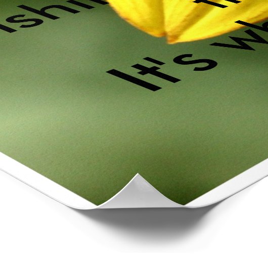 Nancys_sunflower Poster (Hoek)