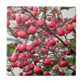 Nandina-struik met rode rijpe bessen tegeltje (Voorkant)