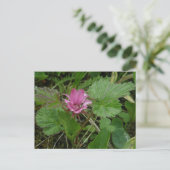 Nangoon Blossom, Unalaska Island Briefkaart (Staand voorkant)