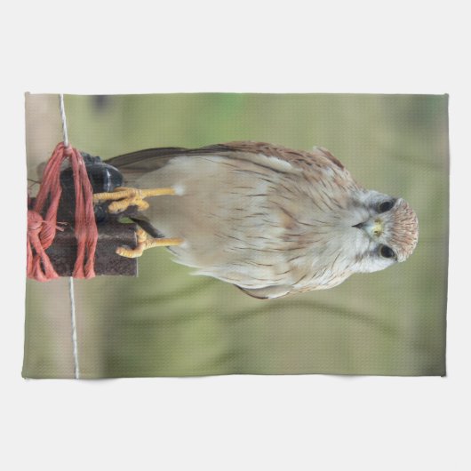 Nankeen Kestrel Theedoek (Horizontaal)