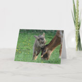 Nanny en Kind Kaart (Voorkant)