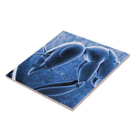 Nano Ant Scanning Electron Microscoop Tegeltje (Zijkant)