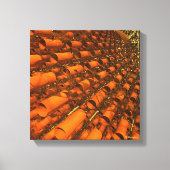 Nano buizen en Gossamer Filamenten Canvas Afdruk (Voorkant)