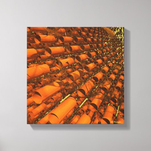 Nano buizen en Gossamer Filamenten Canvas Afdruk (Voorkant)