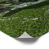 Nanotyrannus dinosaur - 3D rendering Poster (Hoek)