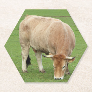 Nantaise-koe in een veld kartonnen onderzetters