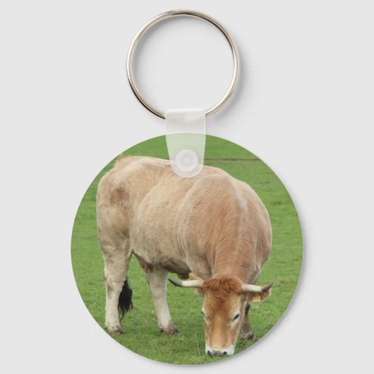 Nantaise-koe in een veld sleutelhanger (Voorkant)