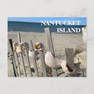 Nantucket Beach Shells on a Fence Briefkaart