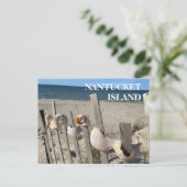 Nantucket Beach Shells on a Fence Briefkaart (Staand voorkant)