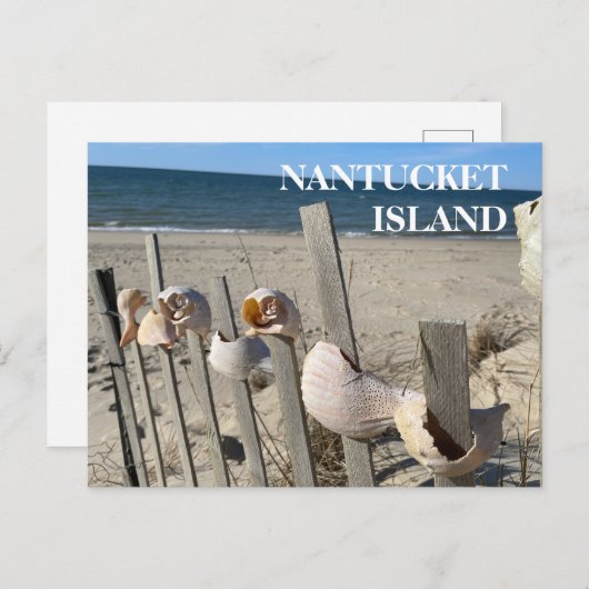 Nantucket Beach Shells on a Fence Briefkaart (Voorkant / Achterkant)