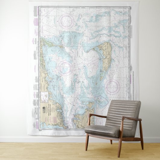 Nantucket Sound and Approaches Nautical Chart 1323 Wandkleed (In situ)