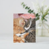 Nap Buddies Briefkaart (Staand voorkant)