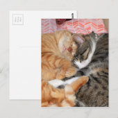 Nap Buddies Briefkaart (Voorkant / Achterkant)