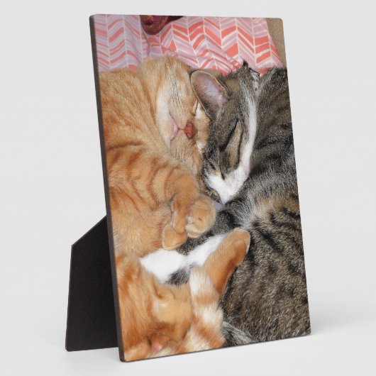 Nap Buddies Fotoplaat (Zijkant)