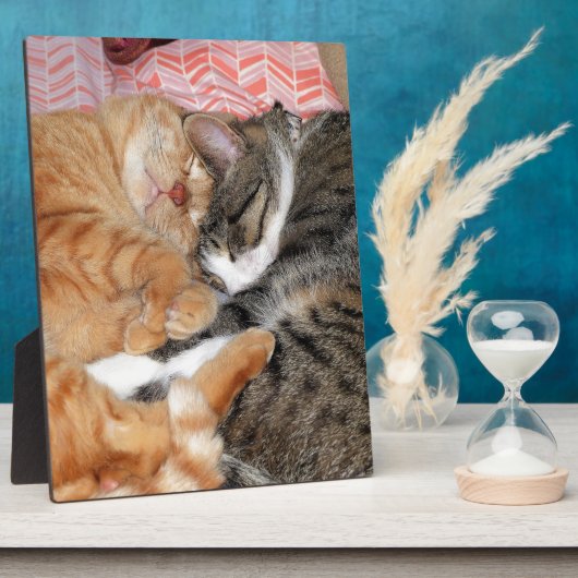 Nap Buddies Fotoplaat (Zijkant)