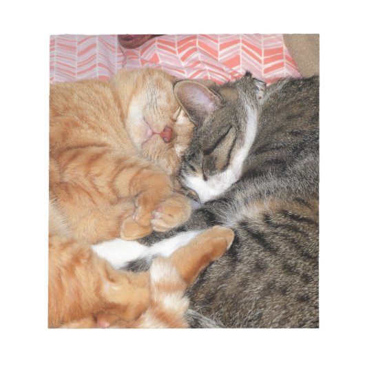 Nap Buddies Notitieblok (Voorkant)