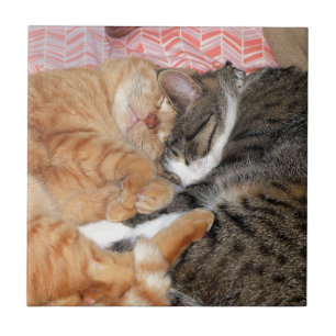 Nap Buddies Tegeltje
