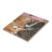 Nap Buddies Tegeltje (Zijkant)