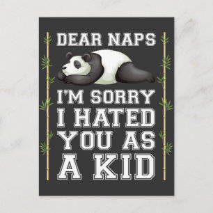 Nap Lazy Slapend Kind Cute Panda Animal Briefkaart